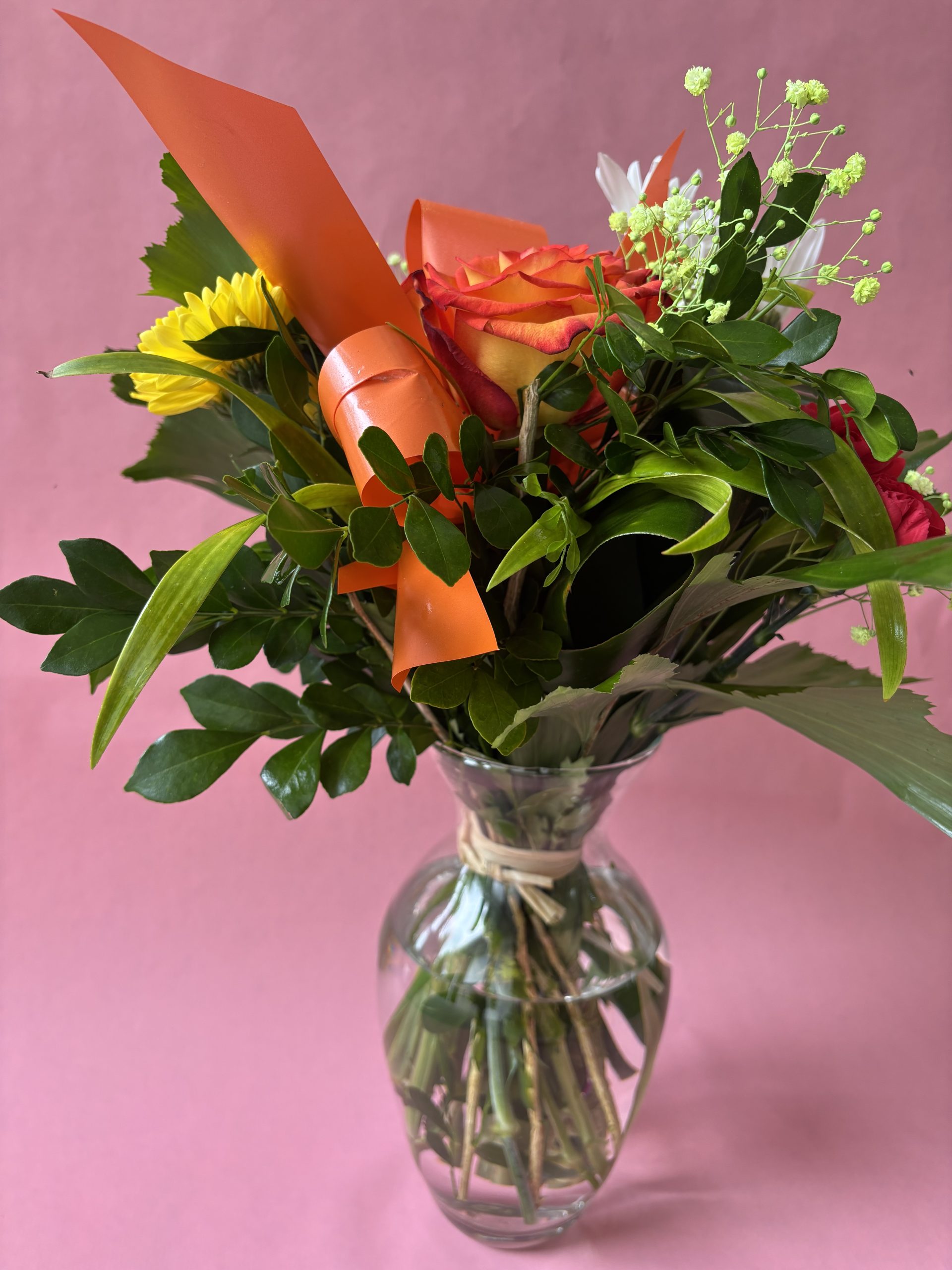 APPARENCE – Image 2