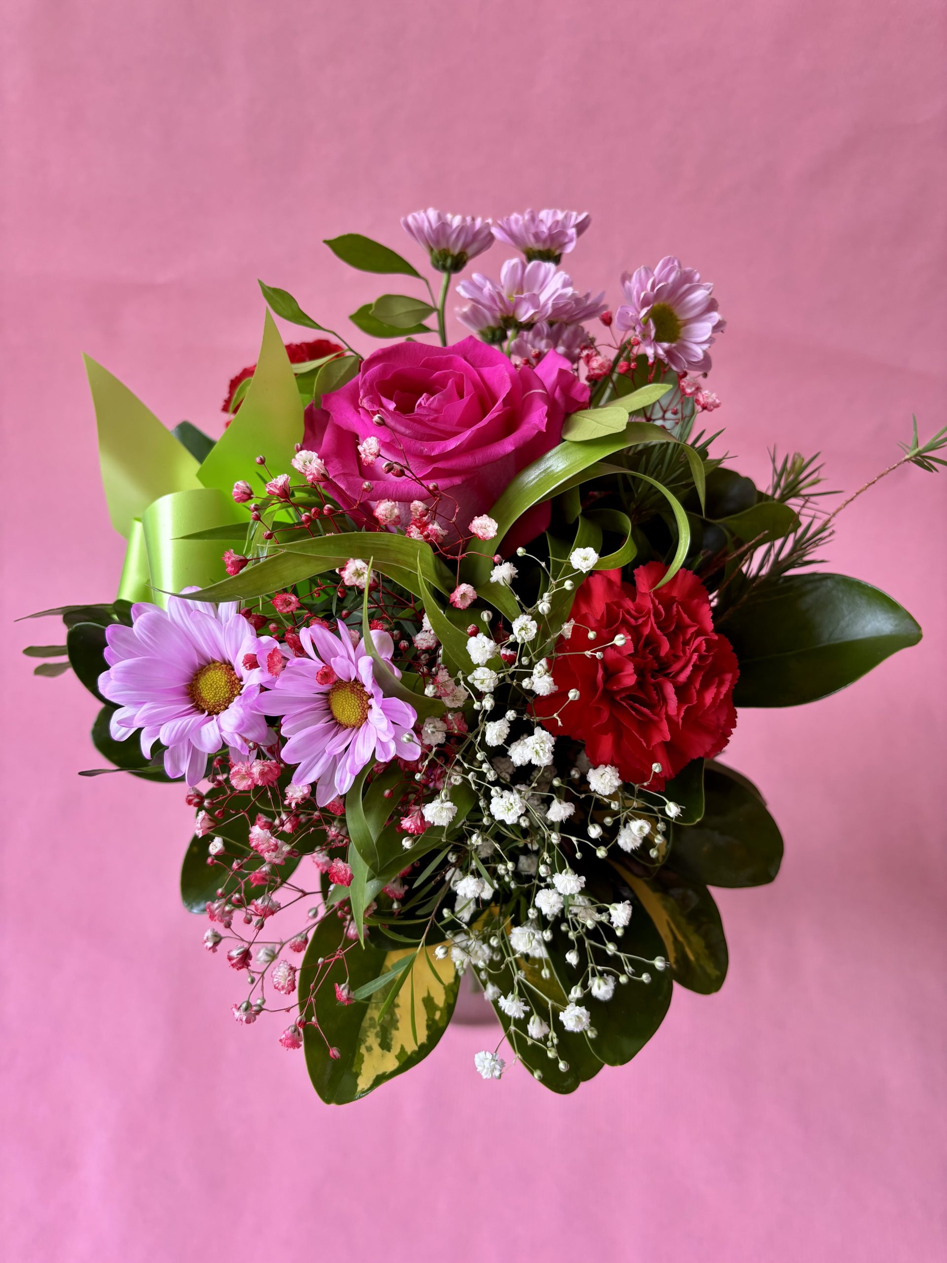 APPARENCE – Image 4